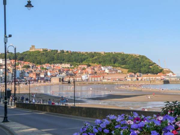 Picadore Scarborough Bagian luar foto